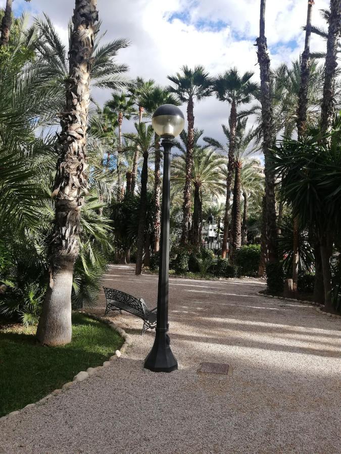 Penthouse Op Toplocatie Orihuela Zewnętrze zdjęcie
